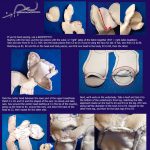 Sewing Plushies Tutorials 107 Best Peluche En Tissus Images On Pinterest Fabric Dolls Doll