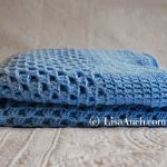 Begginer Crochet Blanket Free Pattern Free Crochet Patterns And Designs Lisaauch Free Crochet Blanket