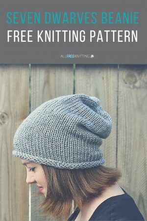 Begginer Knitting Projects Free Easy Knitting Patterns For Beginners Hats Crochet And Knit