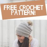 Crochet Beanies Pattern Free The Crocheted Version Of The Cc Beanie Copycat Megmade With Love