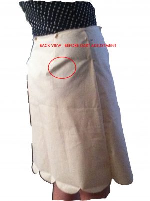 Darts Sewing Skirt Colette Meringue Skirt I Manas