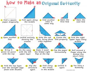 How To Origami Easy Step By Step How To Make An Origami Butterfly Cool2bkids
