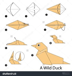 How To Origami Easy Step By Step Step Step Instructions How To Make Origami A Wild Duck Stock
