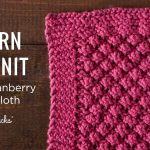 Knit Washcloth Pattern Easy Learn To Knit A Loganberry Dishcloth Youtube