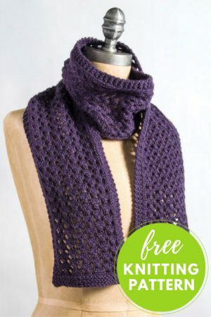 Knitting Patterns Easy Free Extra Quick And Easy Scarf Free Knitting Pattern Blognobleknits