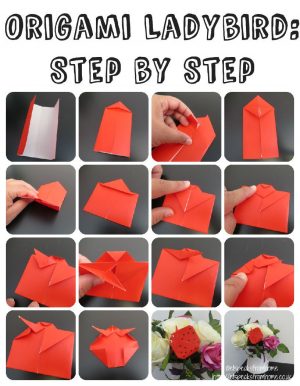 Origami Crafts Step By Step Origami Ladybird Tutorial Origami Pinterest Origami Crafts