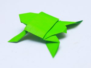 Origami For Beginners How To Make How To Make An Origami Turtle With Pictures Wikihow