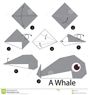 Origami For Beginners Step By Step Pin Michaelsanden On Anniversary Pinterest Origami How To