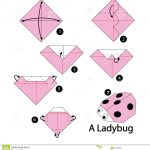 Origami Instructions Animals Step Step Instructions How To Make Origami Ladybug Stock Vector