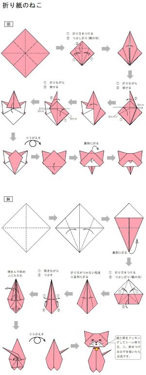 Origami Tutorial Step By Step Step Step Instructions On How To Fold An Origami Cat All Notes
